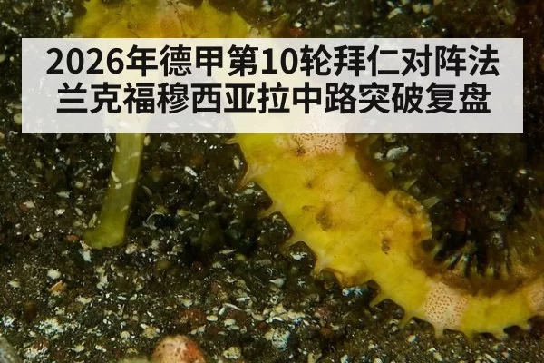 2026年德甲第10轮拜仁对阵法兰克福穆西亚拉中路突破复盘