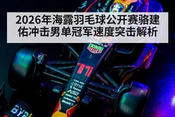 2026年海露羽毛球公开赛骆建佑冲击男单冠军速度突击解析